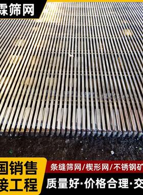 楔形筛条缝震动矿筛网梯形焊接滤芯网矿场洗煤厂造纸工业弧形筛板