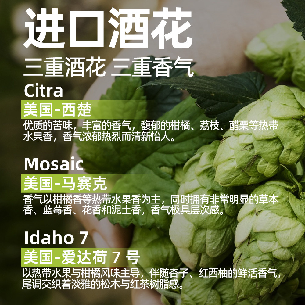 【京东上门】“接受批评”0糖0脂0碳水社交IPA啤酒无糖精酿