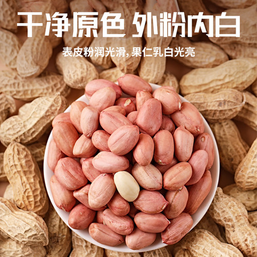 东北新鲜白沙花生米24年农家新货晒干无壳特大粒粉红皮花生仁商用 - 图1