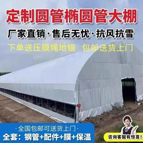 热销养殖大棚养鸡棚猪棚牛棚羊棚鸭棚鹅棚兔棚养殖棚专用大棚骨架 - 图0