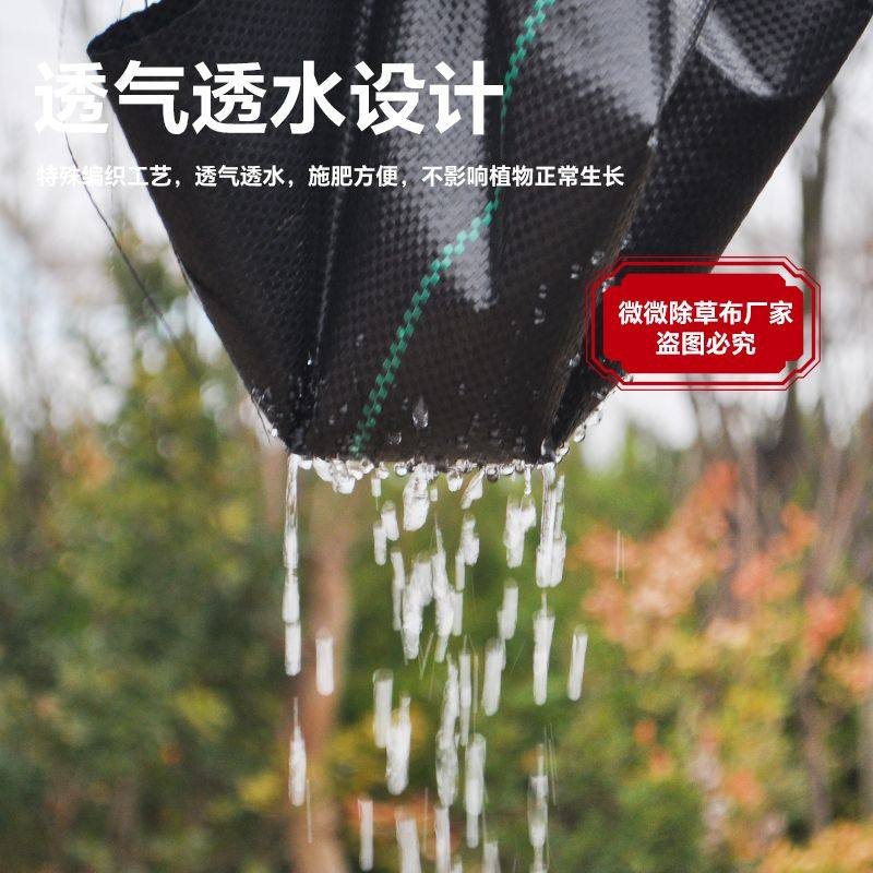 防草布除草布耐用遮草布果园果树专用批发厂家耐用抗老化1/5年,淘宝优惠券,粉丝福利购,淘宝优惠卷