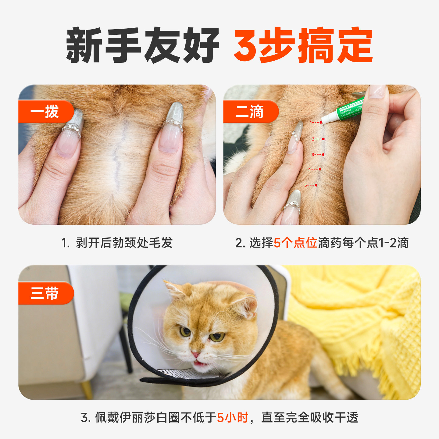 拜达尔猫咪驱虫药狗狗体内外一体同驱宠物跳蚤蜱虫耳螨吡虫啉滴剂