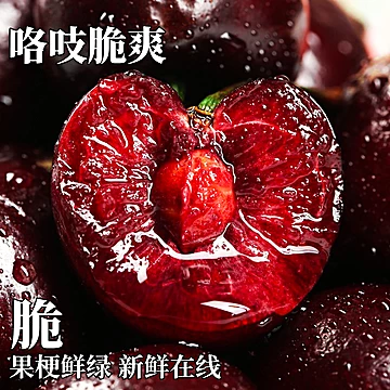 智利车厘子新鲜水果当季整箱包邮5斤[40元优惠券]-寻折猪