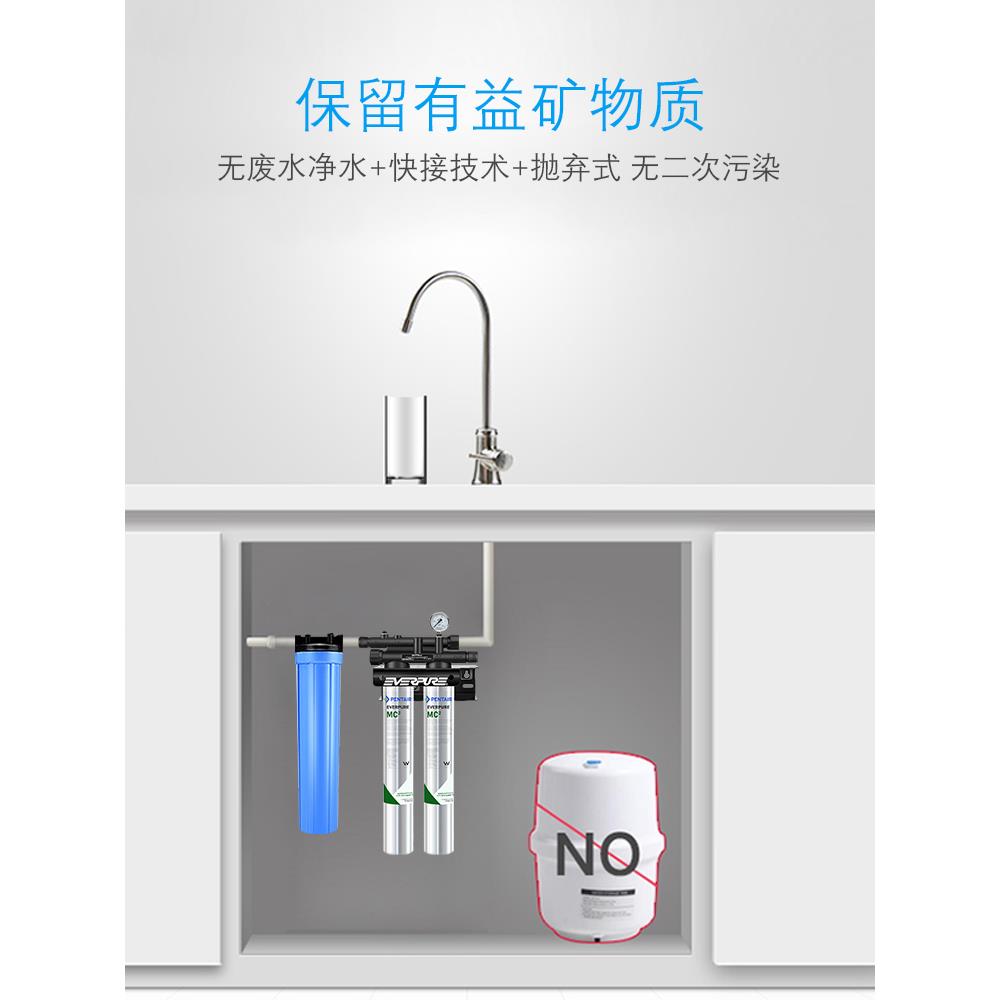 美国爱惠浦MC2净水器双联奶茶店咖啡制冰机大流量直饮商用过滤机 - 图0