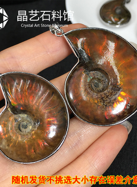 李居明推荐斑彩螺古生物化石包边吊坠毛衣链项链儿童教学科普化石