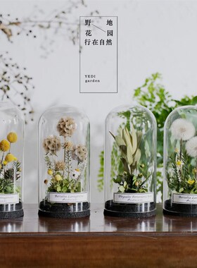 野地花园植物标本玻璃罩干花永生花家居书房陈列摆件饰品北欧礼物