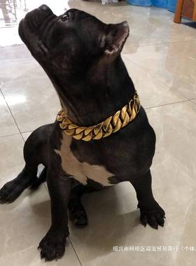高档不锈钢狗链中大型犬项NQA狗脖牵套引链子圈狗土豪金卡斯罗恶