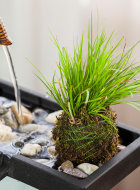 热销创意客厅石槽鱼池喷水循环流水器水景摆件大象鱼缸装饰造景配