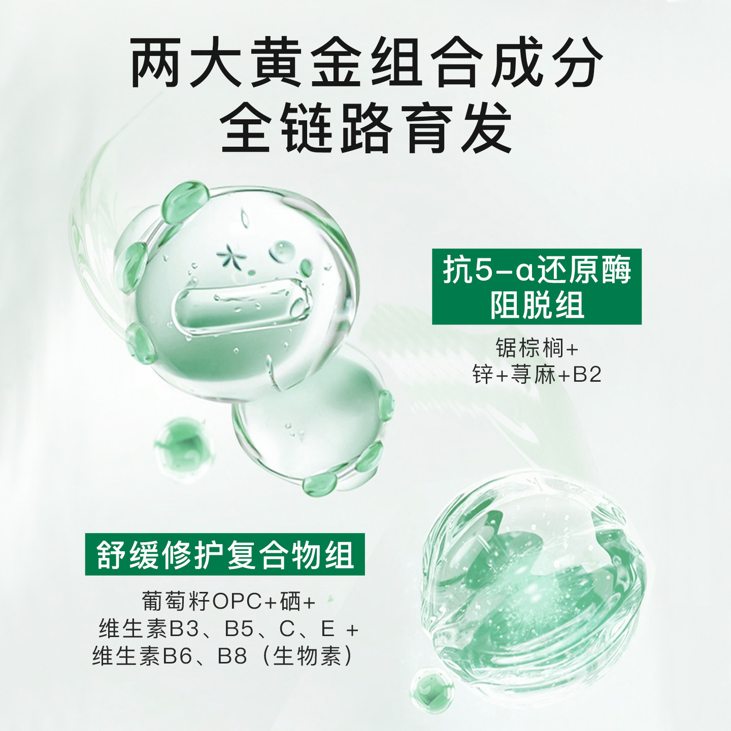 NOVEXPERT诺士博防脱发胶囊维生素b族密发固发养发口服内调,淘宝优惠券,粉丝福利购,淘宝优惠卷