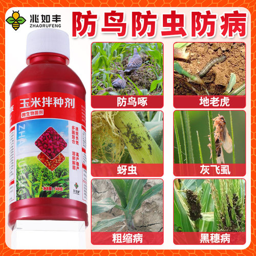 玉米专用拌种剂药一拌多催芽生根提质增产抗菌高产包衣微生物菌剂 - 图0