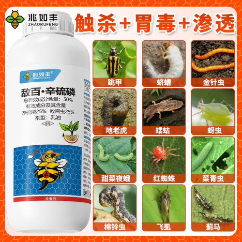 50%敌百辛硫磷农药杀虫剂大全地下害虫土壤杀虫剂蔬菜青菜虫通用 - 图0