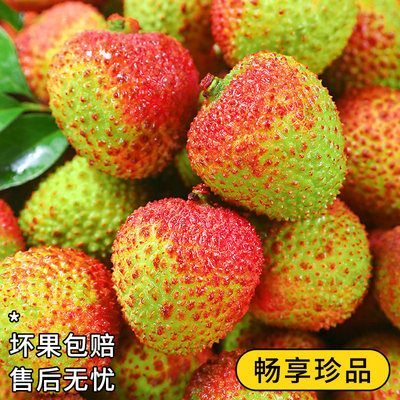 海南妃子笑荔枝现摘时令当季水果