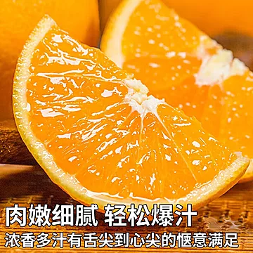 之味珍选正宗赣南脐橙净重4.5斤[6元优惠券]-寻折猪