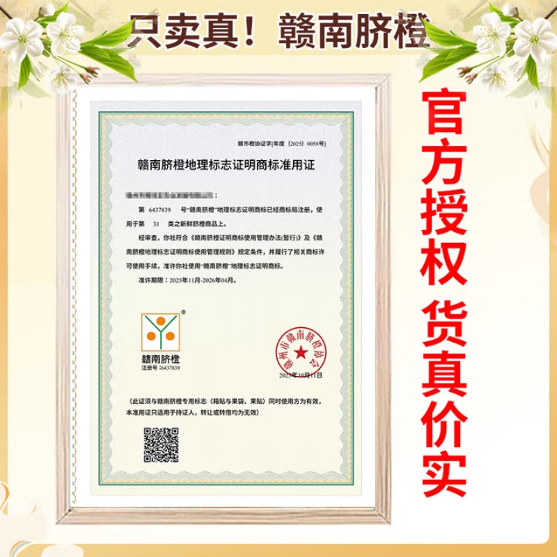 之味珍选正宗赣南脐橙当季新鲜采摘产地直发新鲜橙子整箱包邮