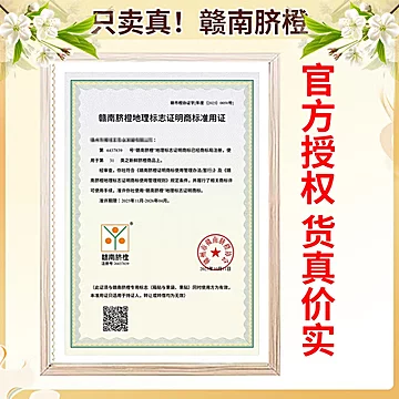 之味珍选正宗赣南脐橙净重4.5斤[6元优惠券]-寻折猪