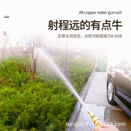 黄铜高压洗车水枪奶嘴喷头软管套装洗车工具洗车浇花浇菜 - 图1