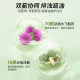 HealthyCare High Content Protection Liver Tablets Milk Thistle Choline Health Care Capsules 480mg 60 capsules ນອນເດິກ ແລະດື່ມເຫຼົ້າແວງ