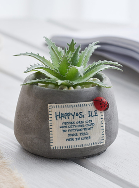 北欧ins仿真多肉小盆栽创意可爱家居客厅办公室好物桌面装饰摆件