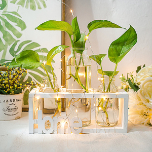 北欧绿萝水培花瓶摆件