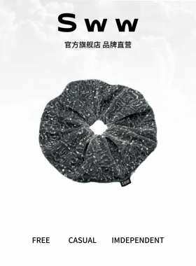 SWW亮片丝绒高弹显发量发圈