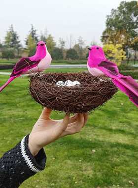 直销新款仿真小鸟窝家居装饰道具儿童房间布置可爱艺术小鸟假鸟