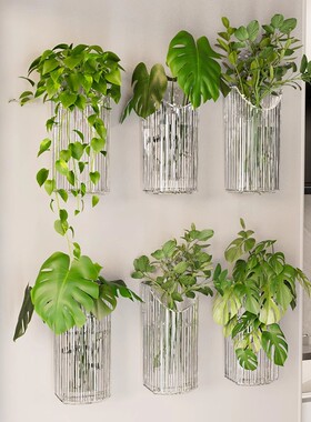 水培植物壁挂花盆透明绿萝鲜置物架创意客厅墙壁装饰挂件绿植花盆