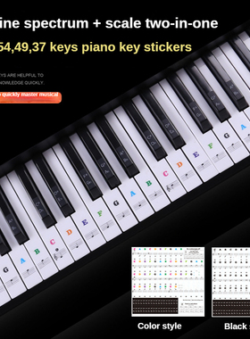 49/54/61/88 color Transparent Piano Keyboard Stickers