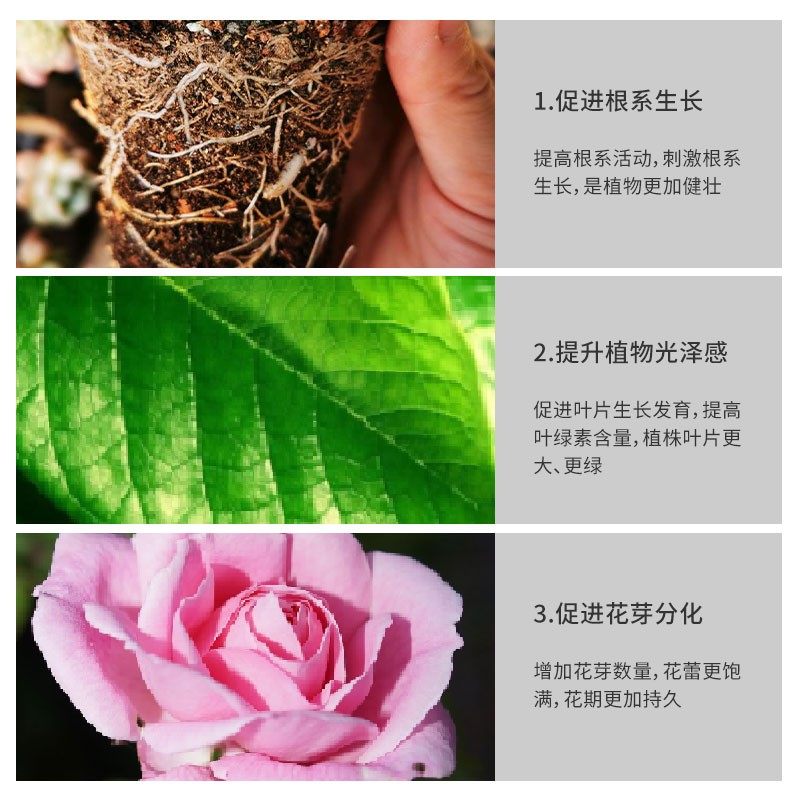 纯羊粪高温发酵羊粪花卉月季专用肥盆栽植物通用养花肥料鸡粪种菜,淘宝优惠券,粉丝福利购,淘宝优惠卷