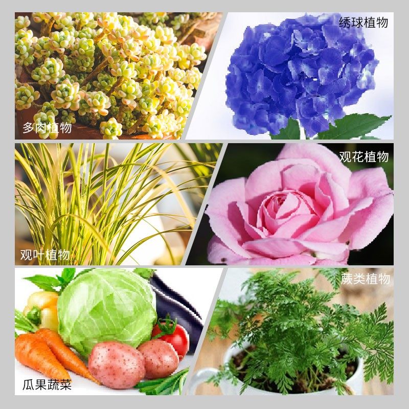 纯羊粪高温发酵羊粪花卉月季专用肥盆栽植物通用养花肥料鸡粪种菜,淘宝优惠券,粉丝福利购,淘宝优惠卷