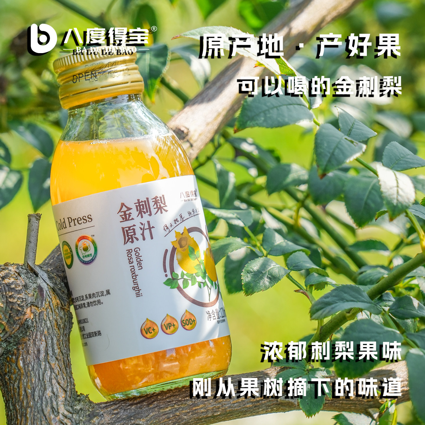 【品牌新享】金刺梨原汁贵州特产刺梨原浆鲜果冷榨原液NFC纯果汁,淘宝优惠券,粉丝福利购,淘宝优惠卷