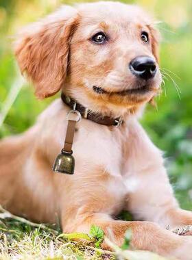 直销新款户外露营避驱熊铃徒步提醒铃铛挂件防走失宠物响铃配饰超