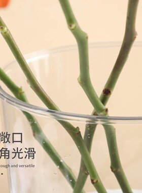 亚克力养花桶圆桶家居水培收纳桶水养桶花束鲜花醒花桶容器橱窗