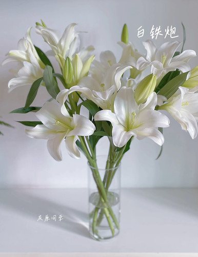 黑宝石亚百合无香型高级黑红色油画质感花苞小巧家庭办公水养鲜花 - 图1