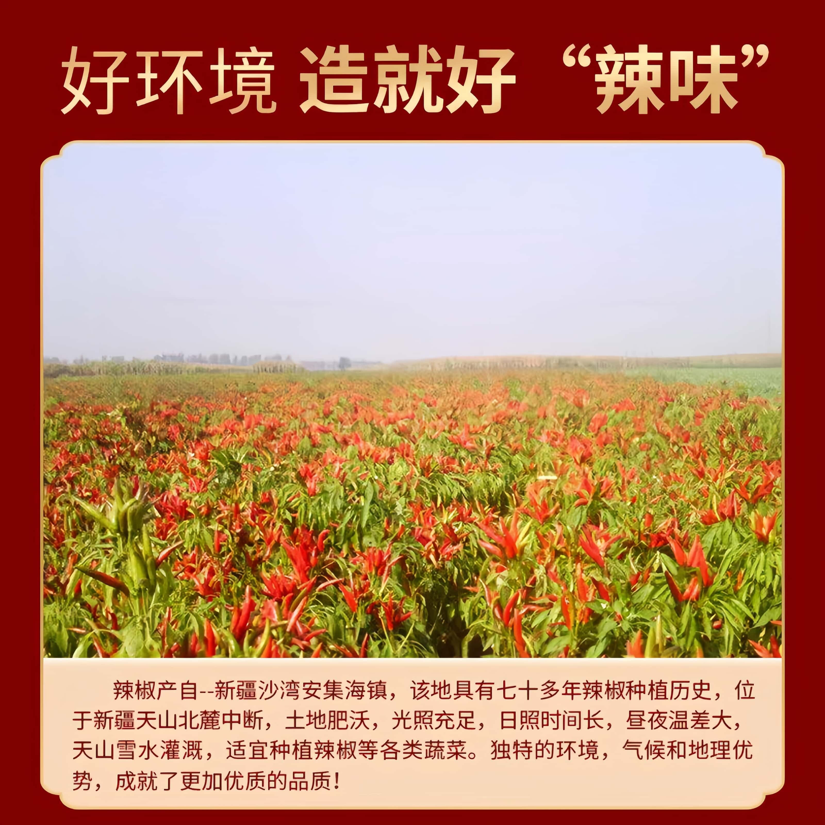 正宗新疆特产辣皮子拌面大盘鸡特级自然晾晒干辣椒官方旗舰店当季