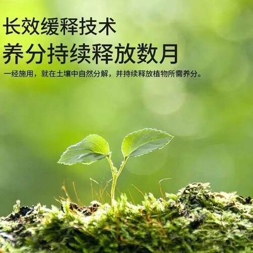 缓释营养棒花养花专用肥料通用型盆栽植物棒状花卉缓释新款营养棒 - 图1