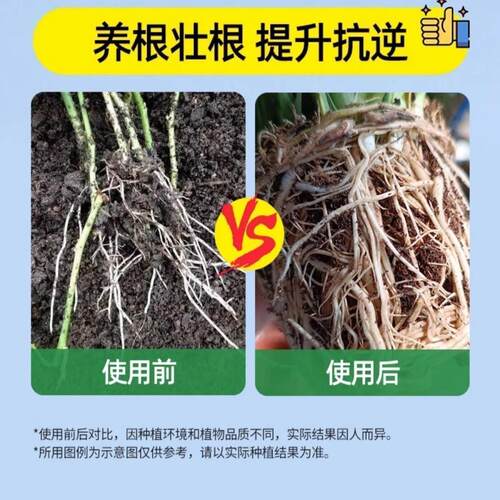 缓释营养棒花养花专用肥料通用型盆栽植物棒状花卉缓释新款营养棒 - 图2
