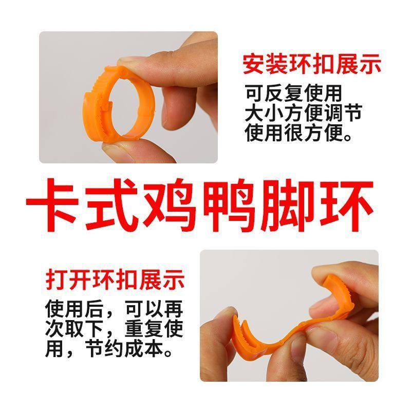 养殖厂鸡脚环自动卡扣鸡做记号防走失家禽识别扣环鸟用脚环标记,淘宝优惠券,粉丝福利购,淘宝优惠卷