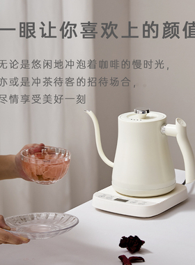 浓缩316不锈钢防干烧电热水壶家用智能恒温1000W大功率长嘴咖啡壶