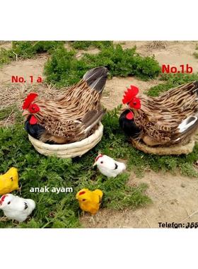 彷真母鸡模型 下蛋鸡孵蛋鸡卧母鸡小鸡仔羽毛工艺品促销摆件包邮