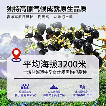 【天景山】青海黑枸杞80gx2瓶[11元优惠券]-寻折猪