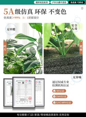 采购产品模拟绿色植物，绿色萝卜，假植物，室内装饰，庭院，室外