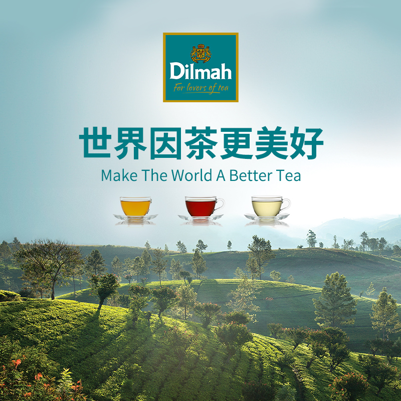 Dilmah迪尔玛斯里兰卡进口英式红茶早餐茶40g/100g袋泡茶锡兰红茶