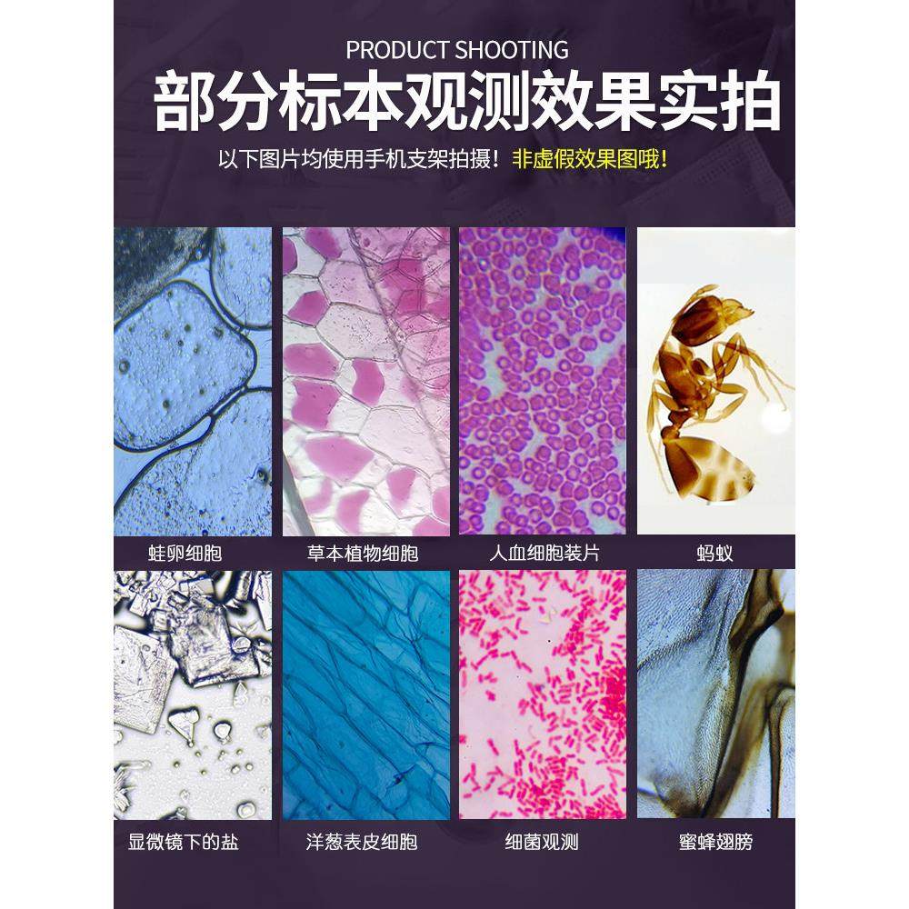 中考同款单目光学显微镜XSP02专业生物教材同步640倍初中初一课本,淘宝优惠券,粉丝福利购,淘宝优惠卷