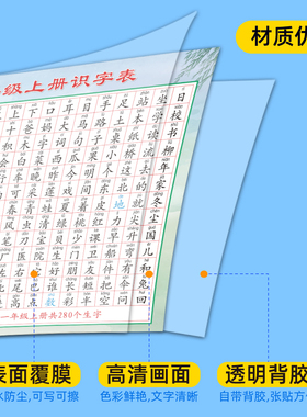 一年级语文识字挂图墙贴画