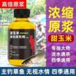高倍甜玉米香精钓鱼小药浓缩原浆鲫鲤野钓通杀持久留鱼饵料开口剂