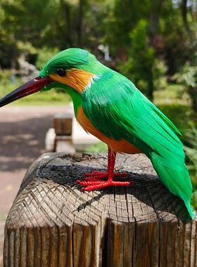 仿真普通翠鸟模型装饰展馆科普动物教具羽毛工艺家居花鸟装饰创意
