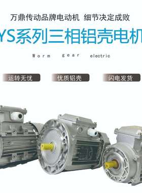 YS系列铝壳三相电机B3/B5/B14/型号齐全0.25-0.75KW