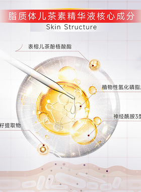 官方直售DMS儿茶素精华液20ml