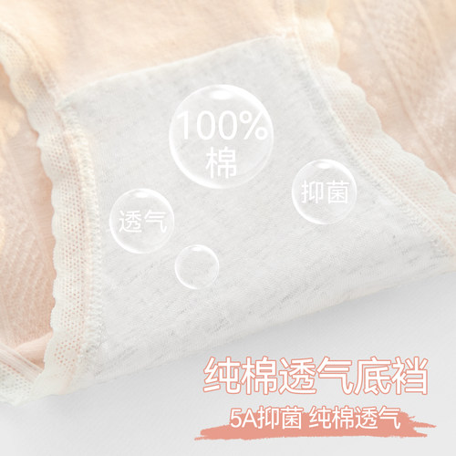 都市丽人内裤女纯全棉抗菌裆2025新款中腰无痕透气少女生三角短裤 - 图2