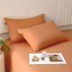 Thickened furry sheets single piece winter simple solid color cotton dormitory autumn and winter single double bed three-piece set
